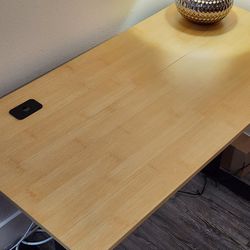 Price Drop-Move Out Sale- Adjustable Standing Desk- Pick Up Only- $170