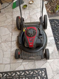 Briggs and Stratton E450