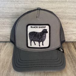 Goorin Bros Snapback Hat $40 Each
