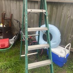 6ft Ladder 