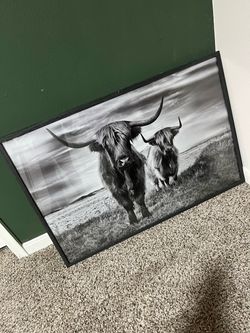Highland Cow glass frame