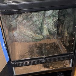 Used Terrarium 12x12x18