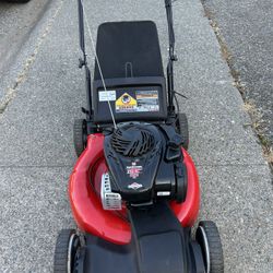 Self Propelled Lawn Mower 