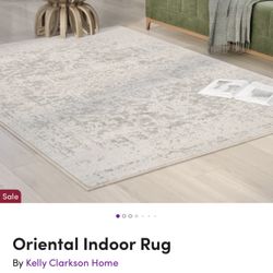 Oriental Indoor Rug