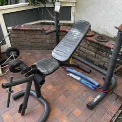 Olympic Weight Bench And Bench Press