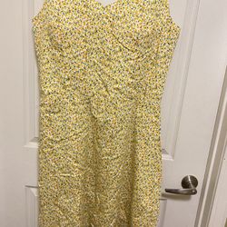 Women’s Dress