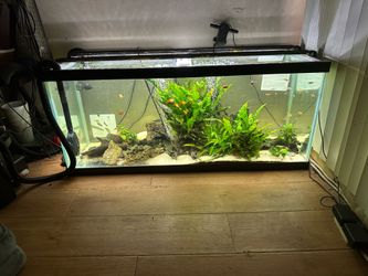 75 gallon aquarium tank