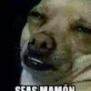 Noe