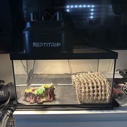 Reptile Tank 