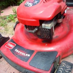 Toro