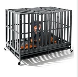 Dog Supplies