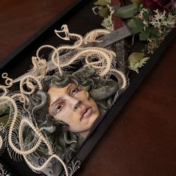 Oddities art piece Medusa myth real snake skeletons