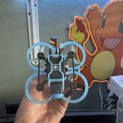 Pavo Pico . Dji Air Unit 03 