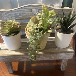 Tiny bench decor/ succulents. Read Description