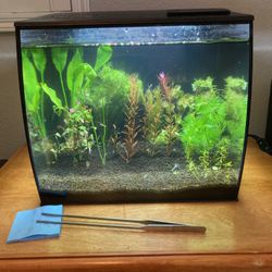 Fish Tank Fishtank Aquarium 