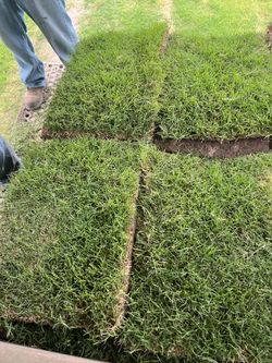 Grass for Sale