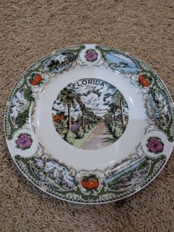 Vintage 10" Florida souvenir collector plate
