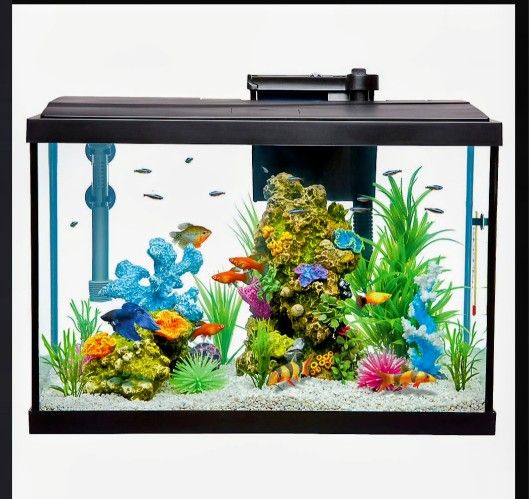 20 GAL Fish Tank 