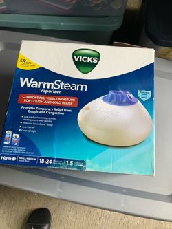 Warm steam vaporizer