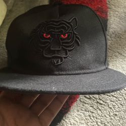 fitted cap
