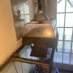 Turtle Basking deck With Light