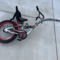 WeeRide Co Pilot Trailer Child Bike