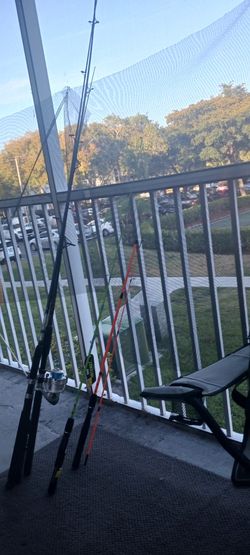 Fishing Rods And 1 Reel