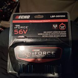 ECHO eFORCE 56V 5.0Ah Lithium-Ion Battery