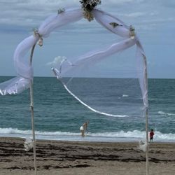 Arbor