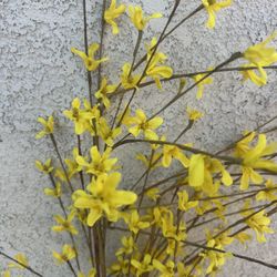 Yellow Flowers