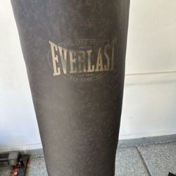 Regular Punching Bag, Water Punching Bag, Plus Stand