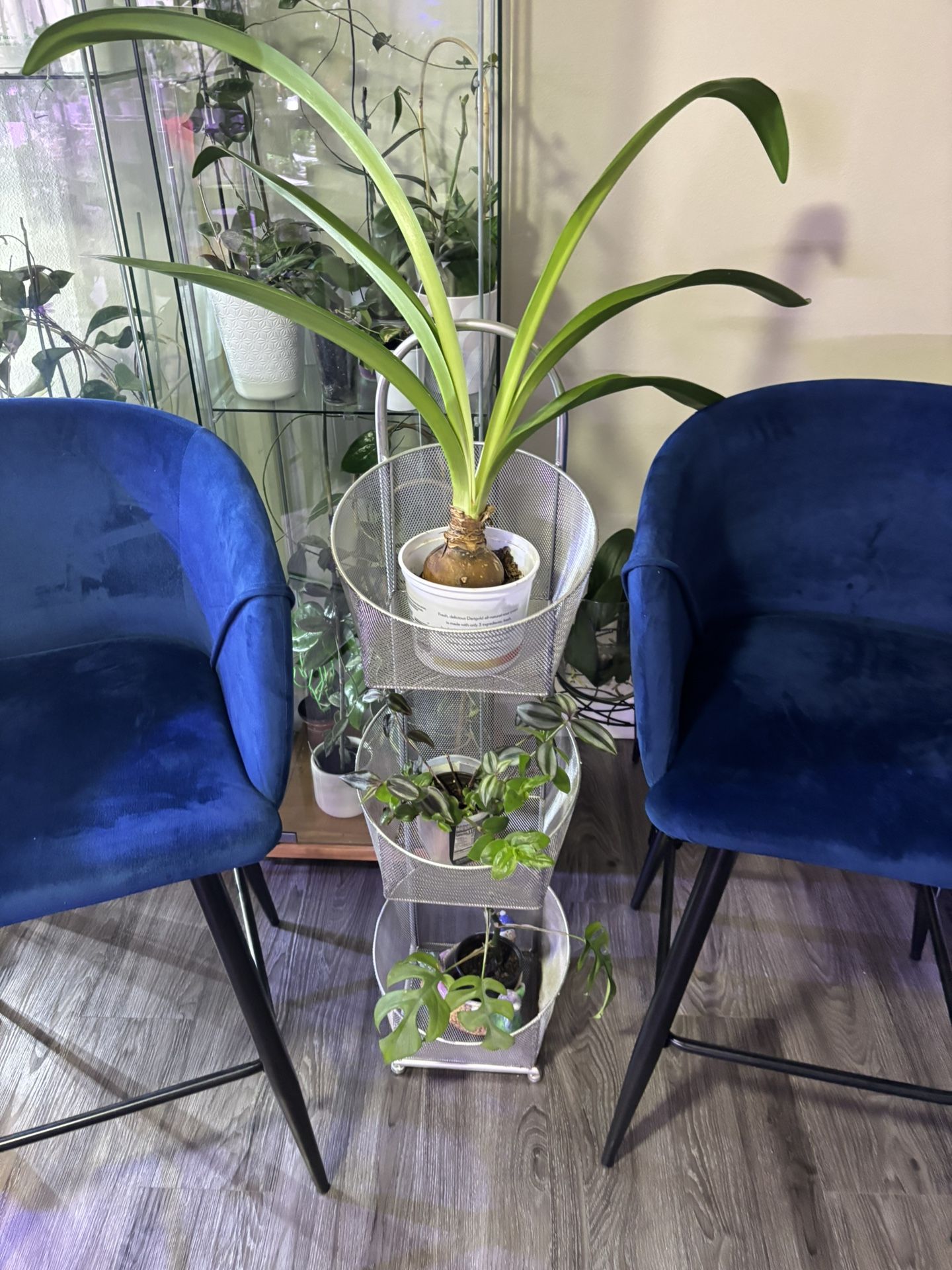 Basket stand