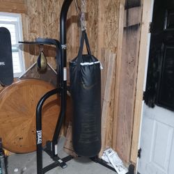 Everlast Punching Bag