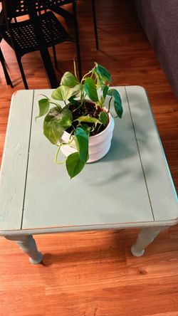 Very Good Condition Table