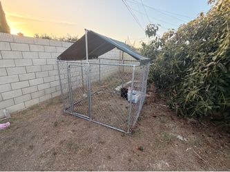 Dog kennel cage