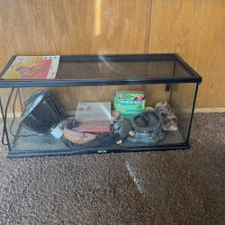 Terrarium