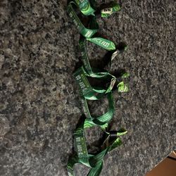 Austin city limits/ACL Sunday Ga Passes