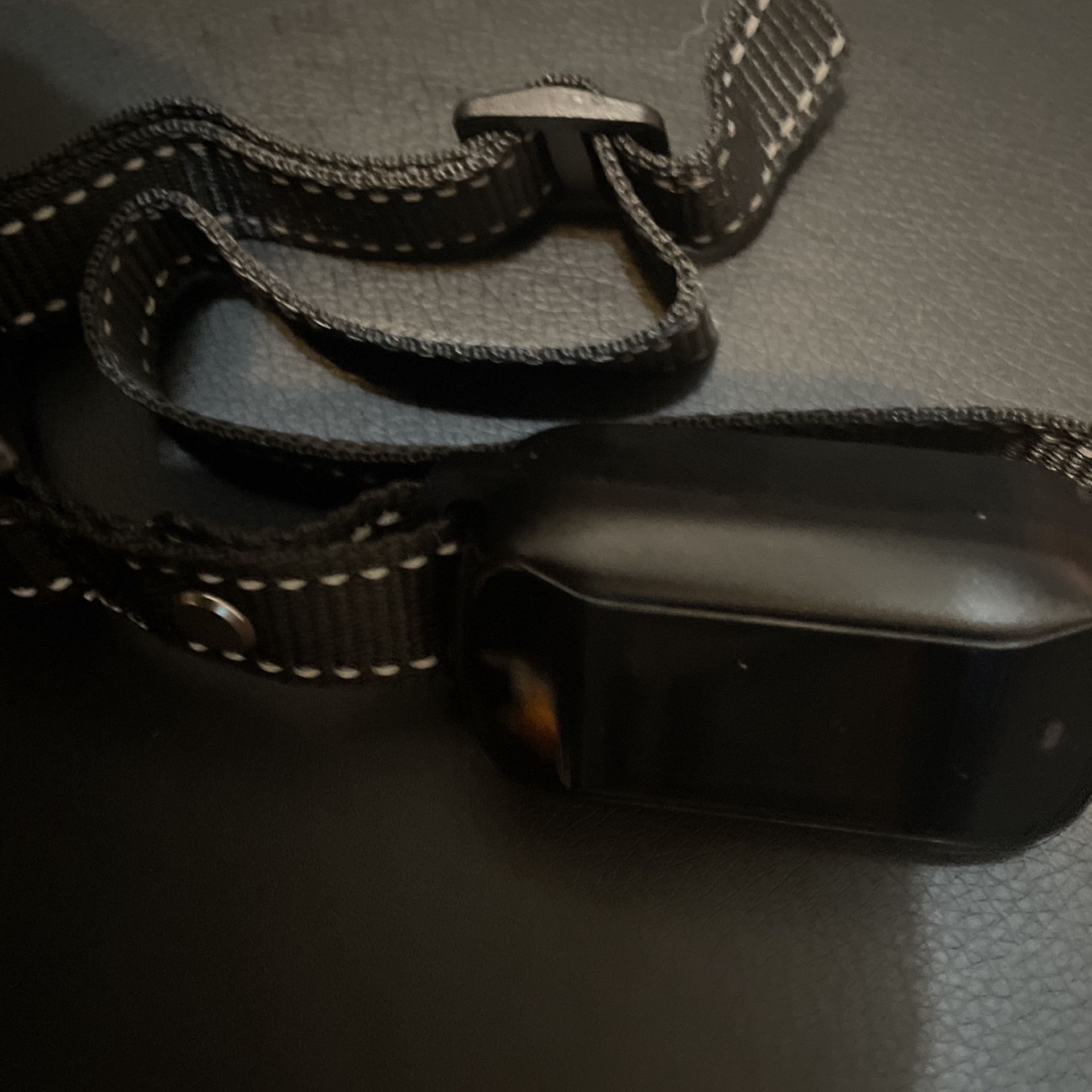Dog Training Works Without Remote