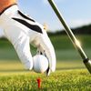 GolfStock.la