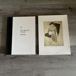 The world of the Picasso