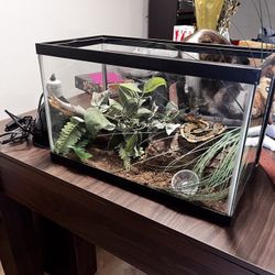 Reptile Enclosure 