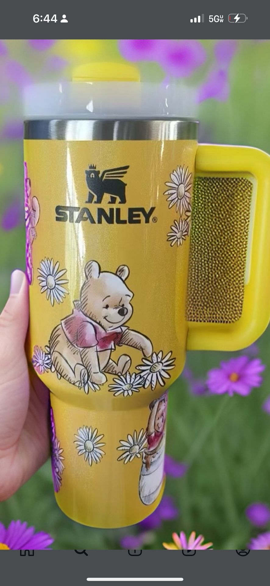 Winnie The Pooh
