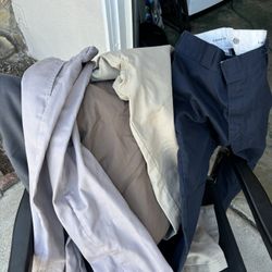 Dickies Pants