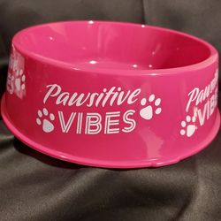 Pet Food Bowl