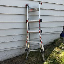 Little Giant multi 13 Ladder