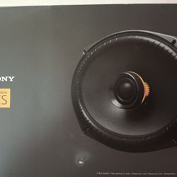 Sony Es 6x9 Mobile ( Automobile) Audio Speakers.