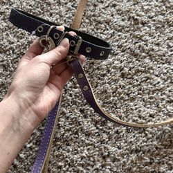 Collar And Leash Set