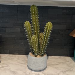 Fake Cactus Plant In Gray Vase With Rocks 