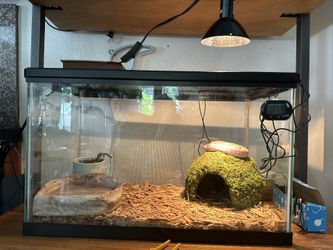 10 Gal Tank 