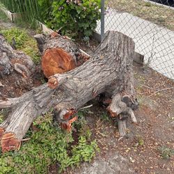 Troncos De Madera Free